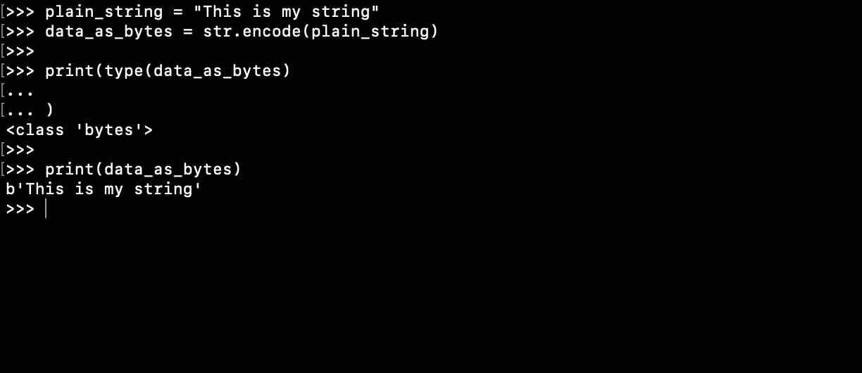 Python 3.x How to Convert String to Bytes